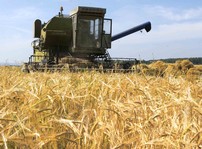 ООО Совхоз Искра